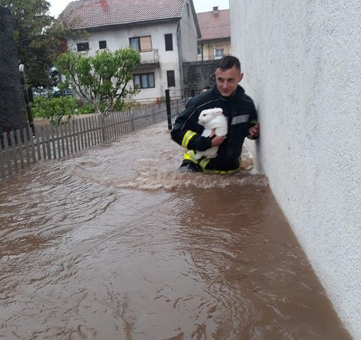Vatrogasac u Gračacu iz poplave spasio zečića