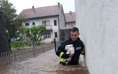 Vatrogasac u Gračacu iz poplave spasio zečića