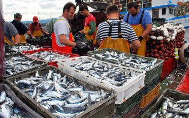 Susret ribara u Šibeniku: Radnike u ribarstvu treba smatrati deficitarnima