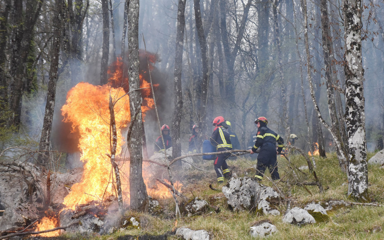 U slučaju požara prijetnja su zarasle površine u zaleđu i na otocima