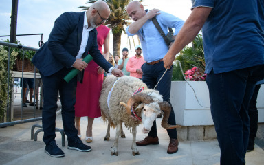 [FOTO] Naše, a svjetsko! Održava se Sajam zaštićenih proizvoda u okviru 21. izložbe paške ovce i sira