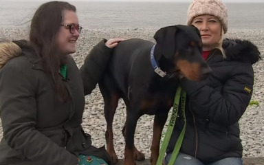 Ženi spašen život nakon što je njen pas na plaži pronašao donatoricu bubrega