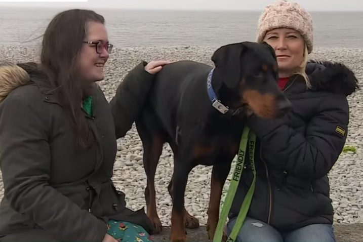 Ženi spašen život nakon što je njen pas na plaži pronašao donatoricu bubrega
