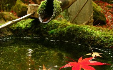Misogi, drevni japanski ritual za pročišćavanje uma, duše i povezivanja s prirodom