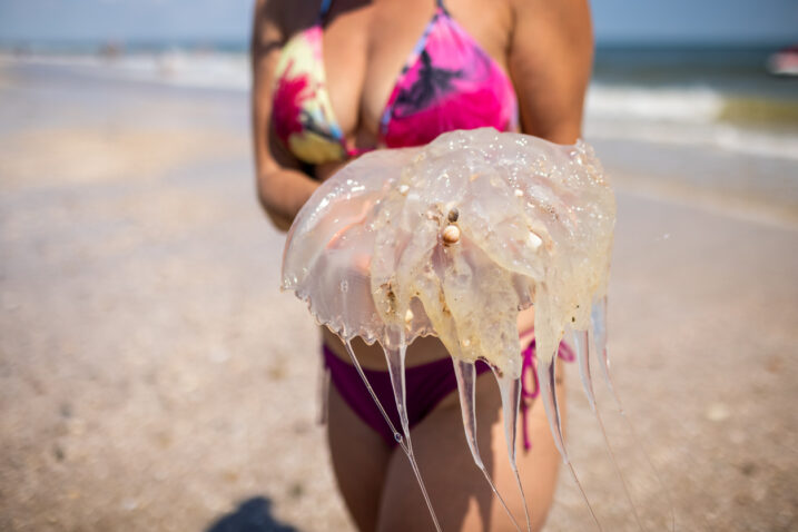 Što učiniti nakon bliskog susreta s meduzom?