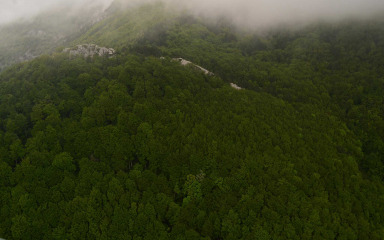 Obilježena godišnjica uvrštenja bukovih šuma NP-a Paklenica na popis UNESCO-a