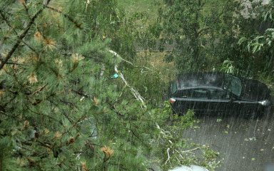 Oluja pogodila i Slavoniju, poginuo vozač na čiji je kombi palo stablo