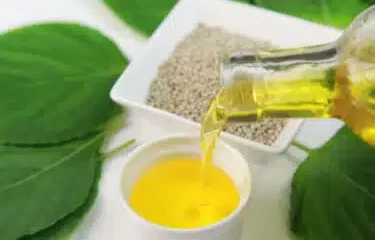 Perilla: Zanimljivo biljno ulje protiv kolesterola, alergija i upala