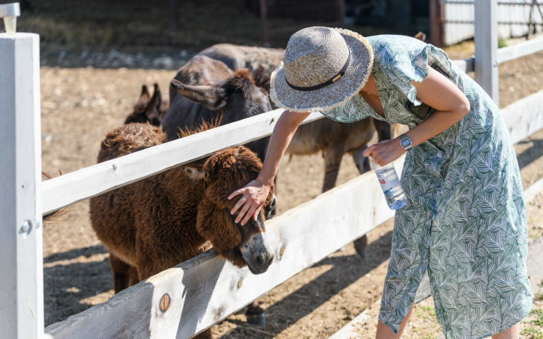Obitelj Štulina na svojoj farmi u Žeravi uzgaja životinje koje su simbol Dalmacije