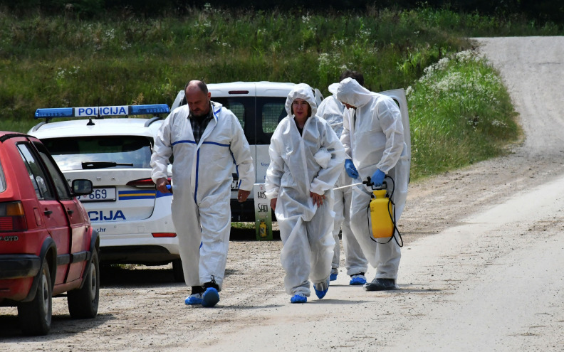 Do sada afrička svinjska kuga utvrđena na 17 gospodarstava