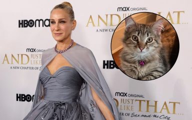 Od skloništa do Manhattana: Sarah Jessica Parker udomila mačića iz serije