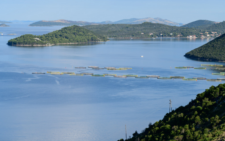 U subotu počinje 5. Long Island Triatlon na Dugom otoku