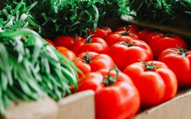 Uz ovih 12 savjeta, uzgojit ćete velike i zdrave rajčice
