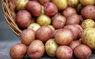 Ukradeno više stotina kilograma krumpira, graha i cikle