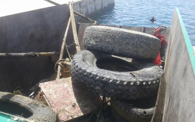 Čistilo se podmorje na potezu Miletići – Paški most