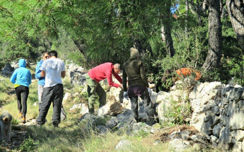 Na Silbi radionica sadnje kapara i gradnje suhozida