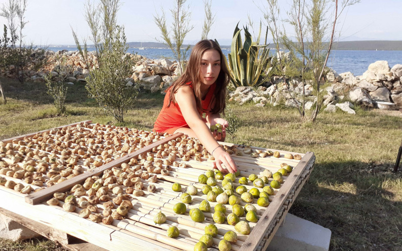 Mnogi se ne odriču uzgoja omiljenog mediteranskog voća
