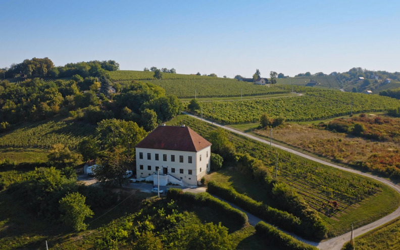 Hrvatska ima najbolji vinski destinacijski film svijeta