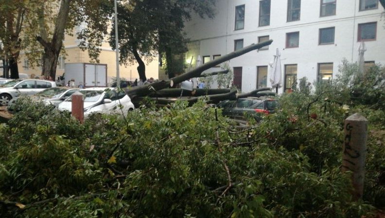Stablo uništilo dva auta
