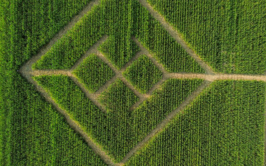[FOTO] Pogledajte kako izgleda golemi kukuruzni labirint izrađen kod Ivanić-Grada