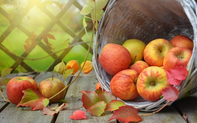 Jabuka je koncentrat antioksidansa, ali - postoji način na koji se pravilno jede