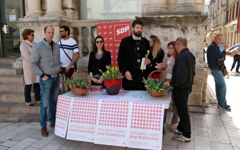 Tulipan za donaciju za Zakladu Ana Rukavina