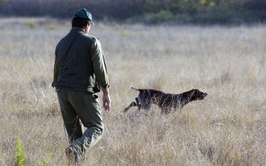 82-godišnji lovac umjesto divlje svinje upucao drugog lovca, nakon tri godine stigla presuda