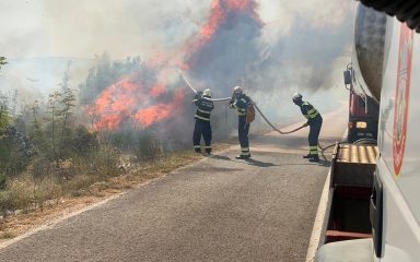 OBJAVLJENI DETALJI 69-godišnjak čistio maslinik pa izazvao požar u Bukoviću