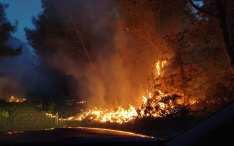 U 24 sata čak 143 intervencije: Gorjelo diljem Hrvatske, kod Draga ugašeno šest hektara raslinja