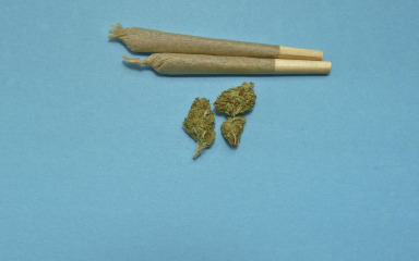 Policija kod mladića u Biogradu pronašla marihuanu za prodaju