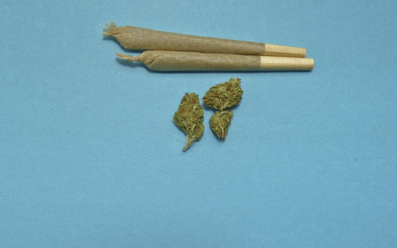 'PAO' S DROGOM! Policija na Poluotoku oduzela marihuanu od 25-godišnjaka