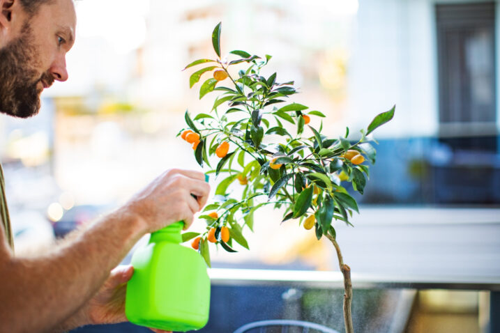 Voćke možete saditi u posudama na vašem balkonu
