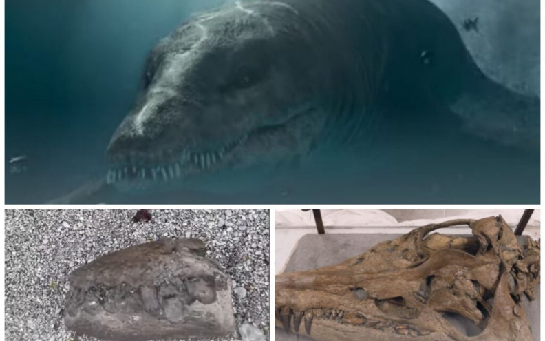 Pronađen fosil pliosaura, golemog morskog čudovišta. Terorizirao je oceane