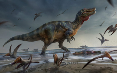 Dvije bebe dinosaura pronađene u fosilu tiranosaura otkrivaju novi način prehrane