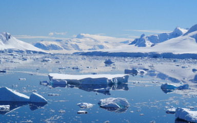 DNK hobotnice otkrio tragove otapanja leda na Antarktici prije 120.000 godina