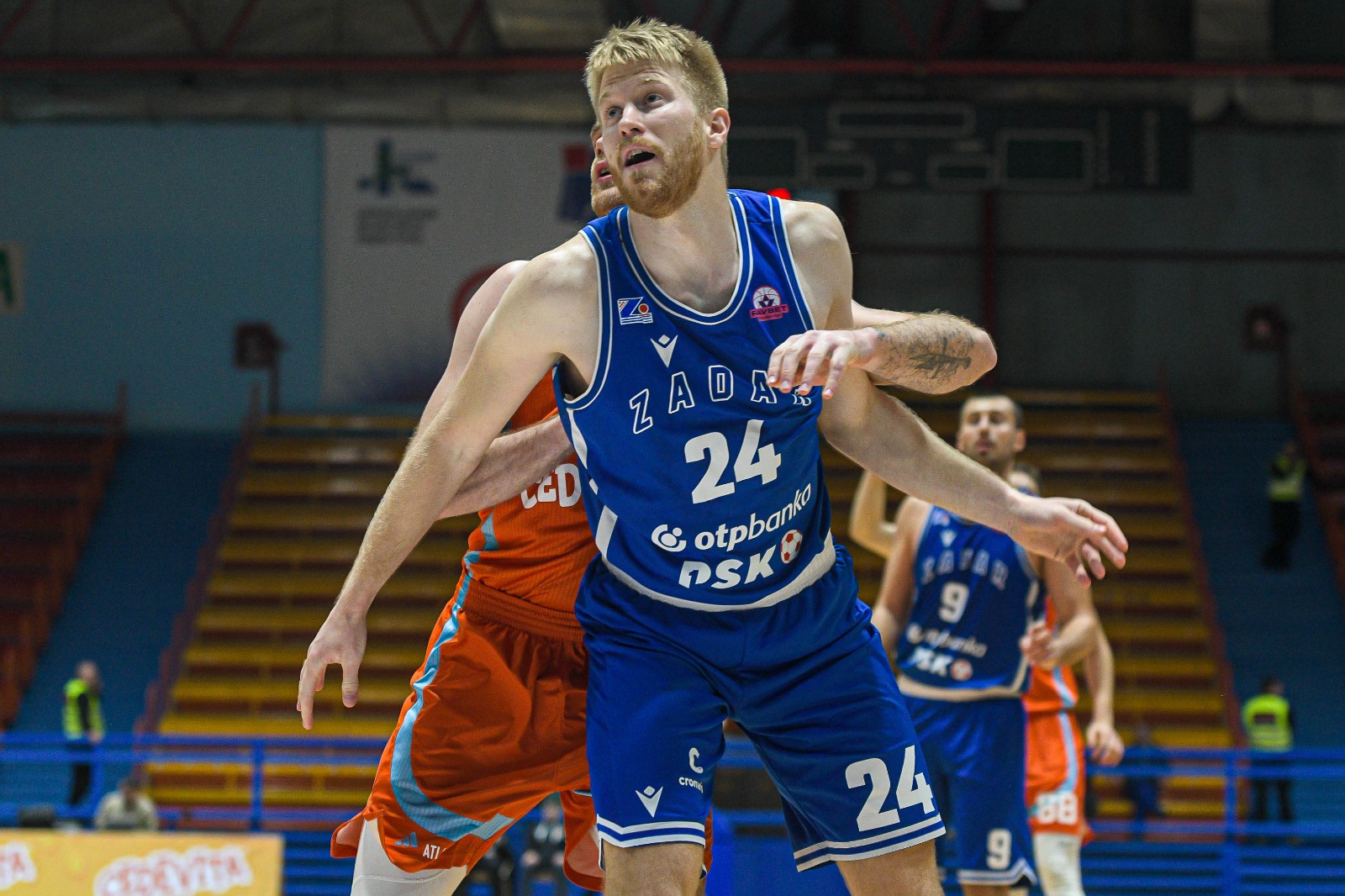 Dario Drežnjak (KK Zadar)