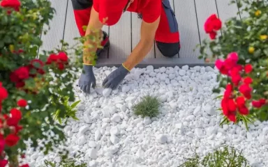 Bijeli kamenčići: mnoge ideje za uljepšavanje vašeg vrta