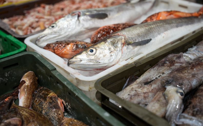 Modernizira se uzgajalište ribe između otočića Glurović i Iža