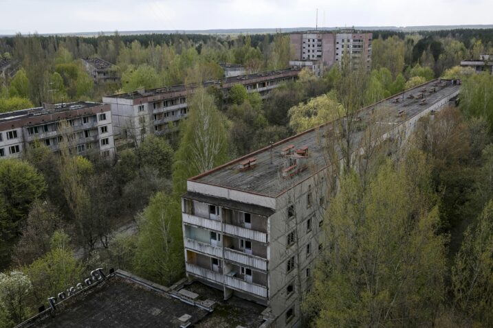 Vukovi u Černobilu razvili imunost na rak?