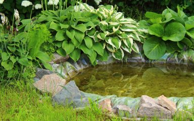 Oduvijek vas je privlačila ideja da u vrtu napravite jezerce?
