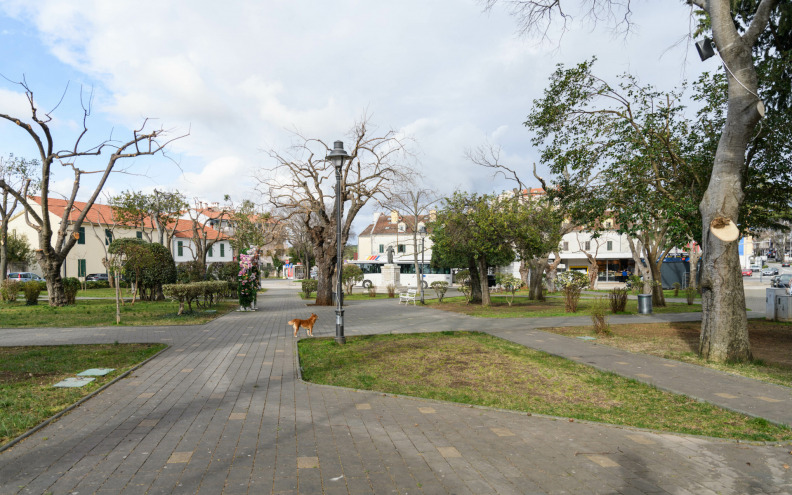 Biograd: Kod vozača izmjereno 2,46 promila, završio je u zatvoru!