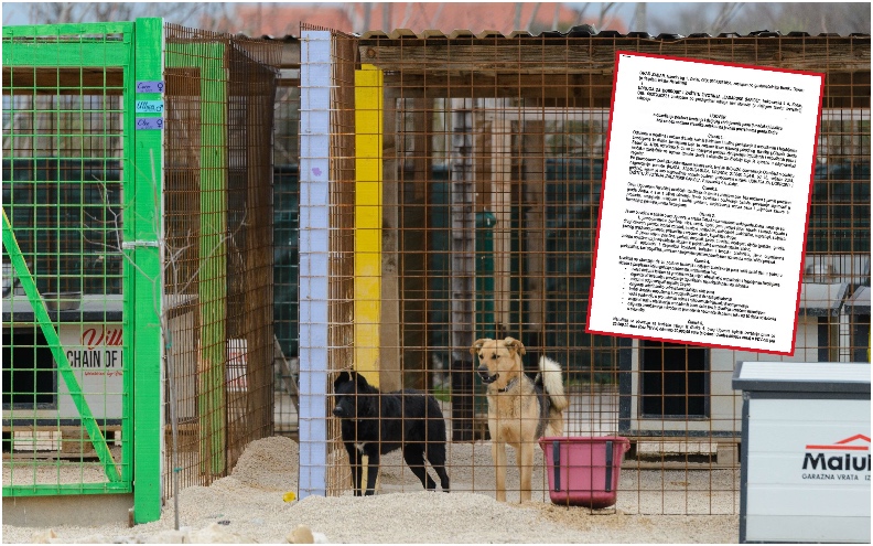 VELIKA STVAR Zadarski azil s Gradom sklopio ugovor za zbrinjavanje napuštenih pasa