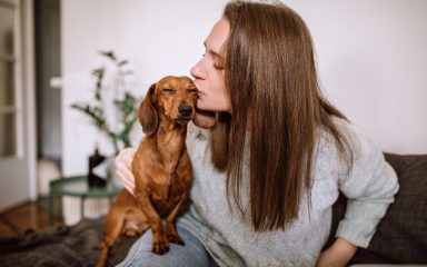 Video u kojem vlasnica “testira” jazavčarku hoće li pojesti slasticu, dokaz je neprocjenjive vjernosti psa