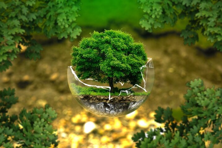 Simbolika drva života: Mistično je i magično, a povezuje se i s ljekovitim svojstvima