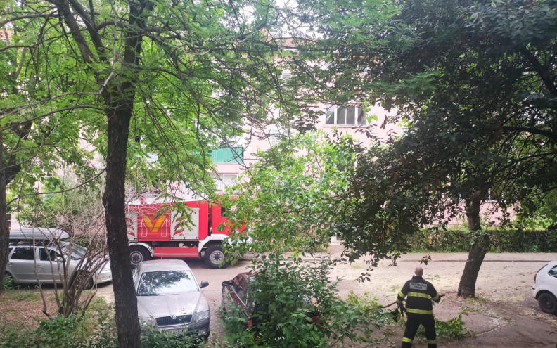 U Zadru palo stablo na automobile, vatrogasci i policija na terenu