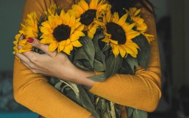 Obožavamo suncokrete, a evo i koje se značenje skriva kada ga darujete dragoj osobi
