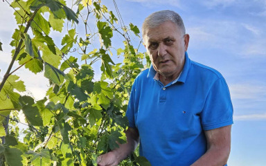 Vallis Rabiosa je blago zadarskog vinogorja: Stjepan Vučemilović proizvodi vrhunska vina!
