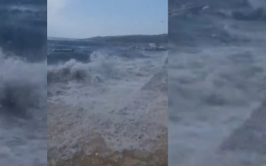 ‘TO JE NEZAPAMĆENO’ U Novigradskom moru odjednom se digla lebićada: ‘Valovi su bili visoki…’