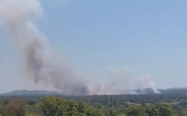 Gori šuma u blizini Benkovca, požar gasili i kanaderi