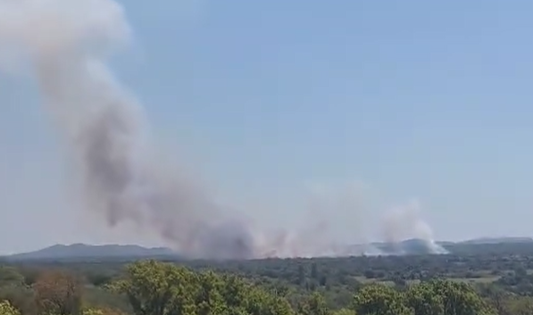 Gori šuma u blizini Benkovca, požar gasili i kanaderi